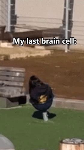 braincell memes|brain cells gifs.